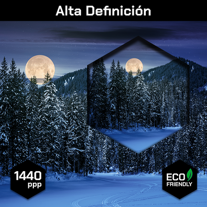 Bosque Noche Nieve Luna