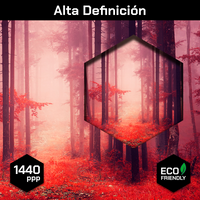 Bosque Rojo