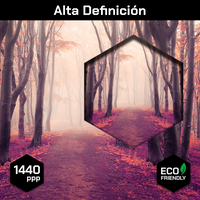 Bosque Simetrico