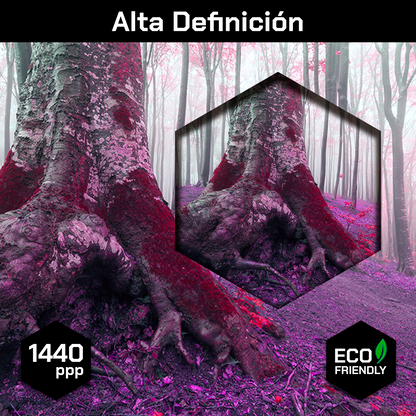 Bosque Viejo En Morado