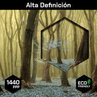 Bosque Y Flores Secreta