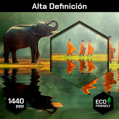 Monjes Y Elefante En Rio