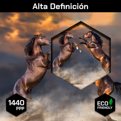 Caballos Danzando Desierto
