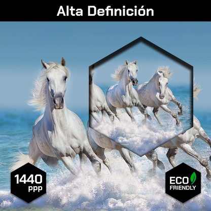 Caballos En La Playa