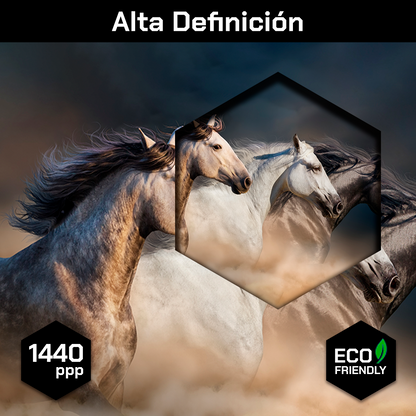 Caballos Galopando