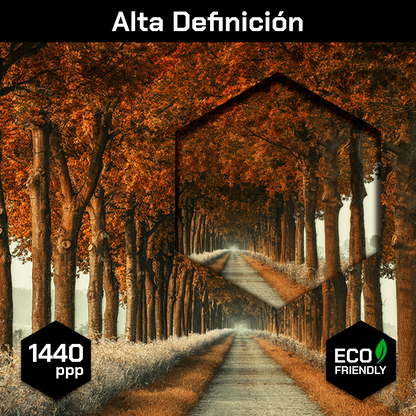 Camino De Otoño