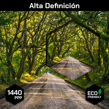 Camino En Arboles