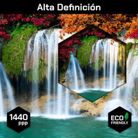 Cascada Arboles Colores