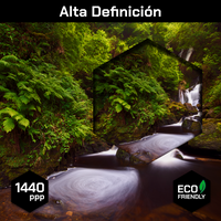 Cascada En Bosque