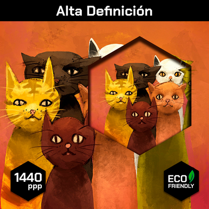 Cinco Gatos Posando