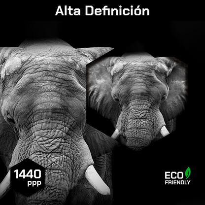 Elefante Con Colmillos