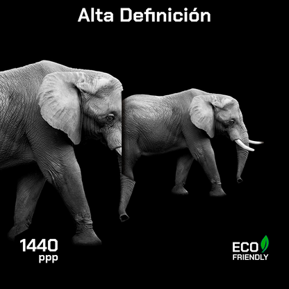 Elefante En Fondo Negro