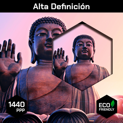 Estatua Buda Hong Kong