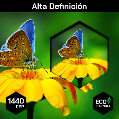 Flores Y Mariposa Azulada