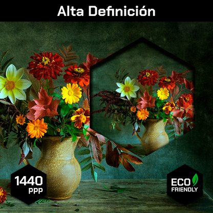 Hermoso Ramo De Flores