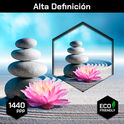 Jardin Zen Con Flor Loto
