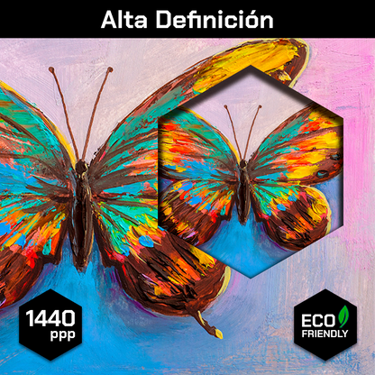 Mariposa De Colores