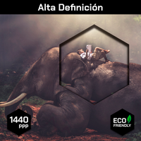 Niño Sobre Elefante