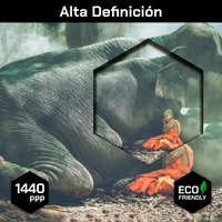Niño Y Elefante Acostados