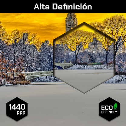 Puente De Central Park