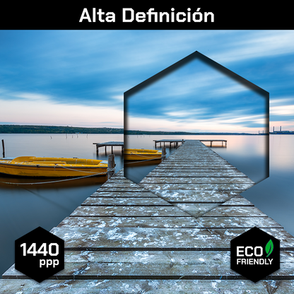 Playa Mar Muelle Bote