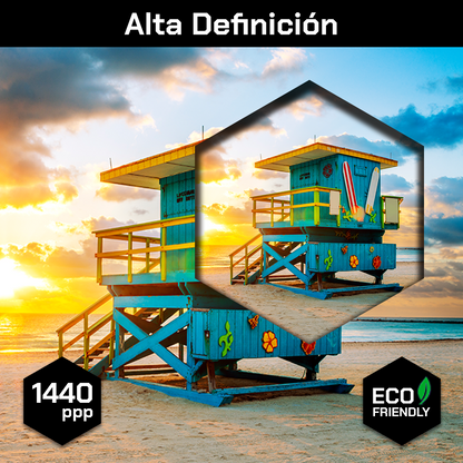 Playa Miami Tarde