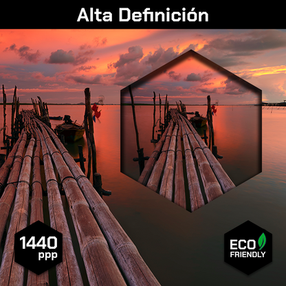 Playa Muelle Bamboo
