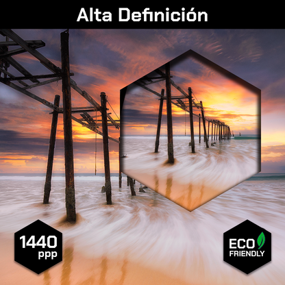 Playa Muelle Destruido