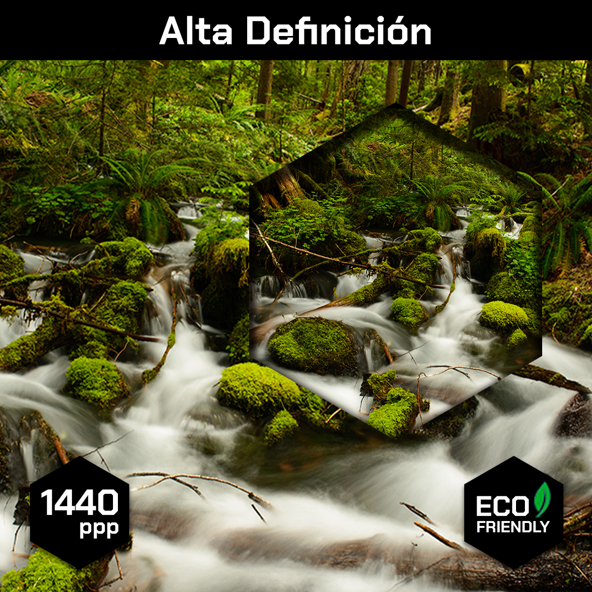 Rio Rapido Rocas Verdes