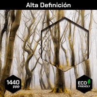 Troncos En Niebla