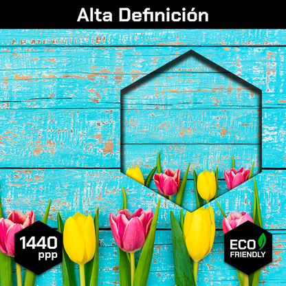 Tulipanes Colores