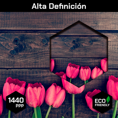 Tulipanes Rustic