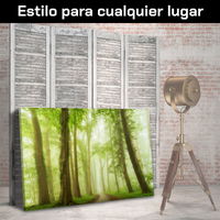 Bosque Bajo Niebla Verde