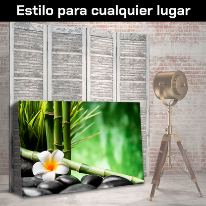 Bambu Y Flor Frangipani