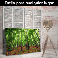 Bosque Bello