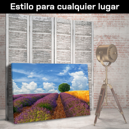 Campos Y Arbol