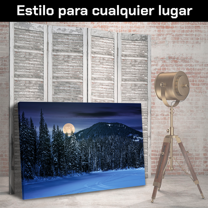 Bosque Noche Nieve Luna