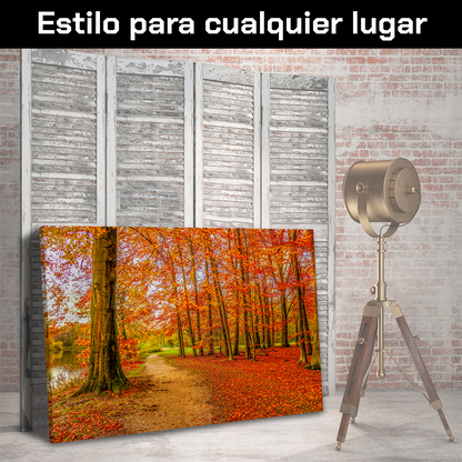 Bosque Y Hojas De Otoño