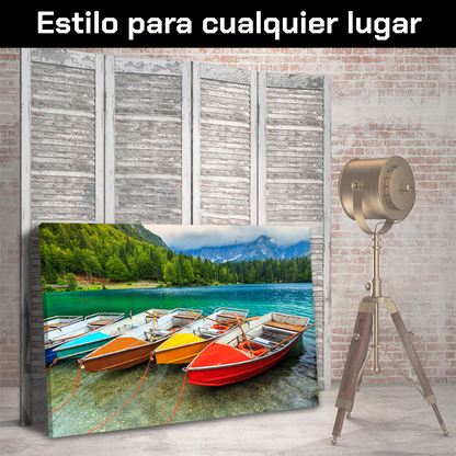 Botes Coloridos