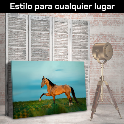 Caballo En La Pradera