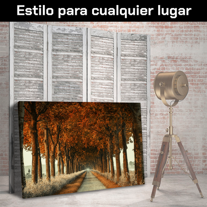 Camino De Otoño