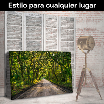 Camino En Arboles