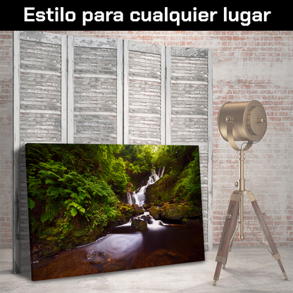Cascada En Bosque