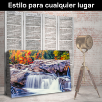 Otoño Rio Swift