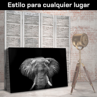 Elefante Con Colmillos