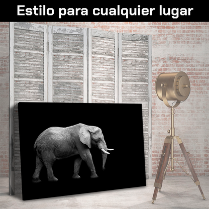 Elefante En Fondo Negro