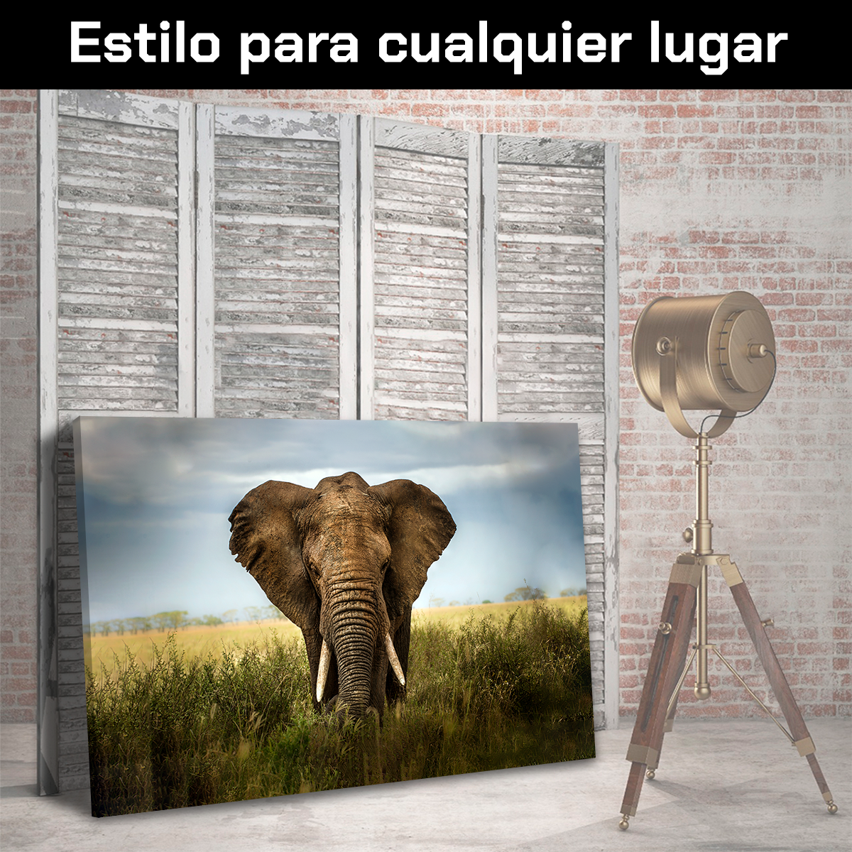 Elefante Entre Pastizal