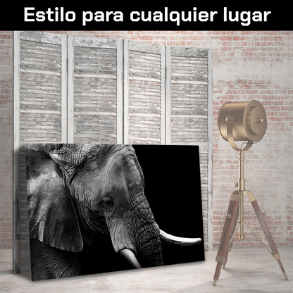 Elefante Retrato Perfil