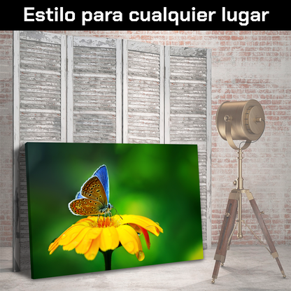 Flores Y Mariposa Azulada