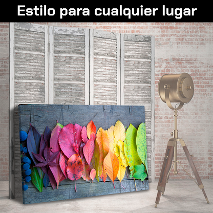 Hojas De Colores